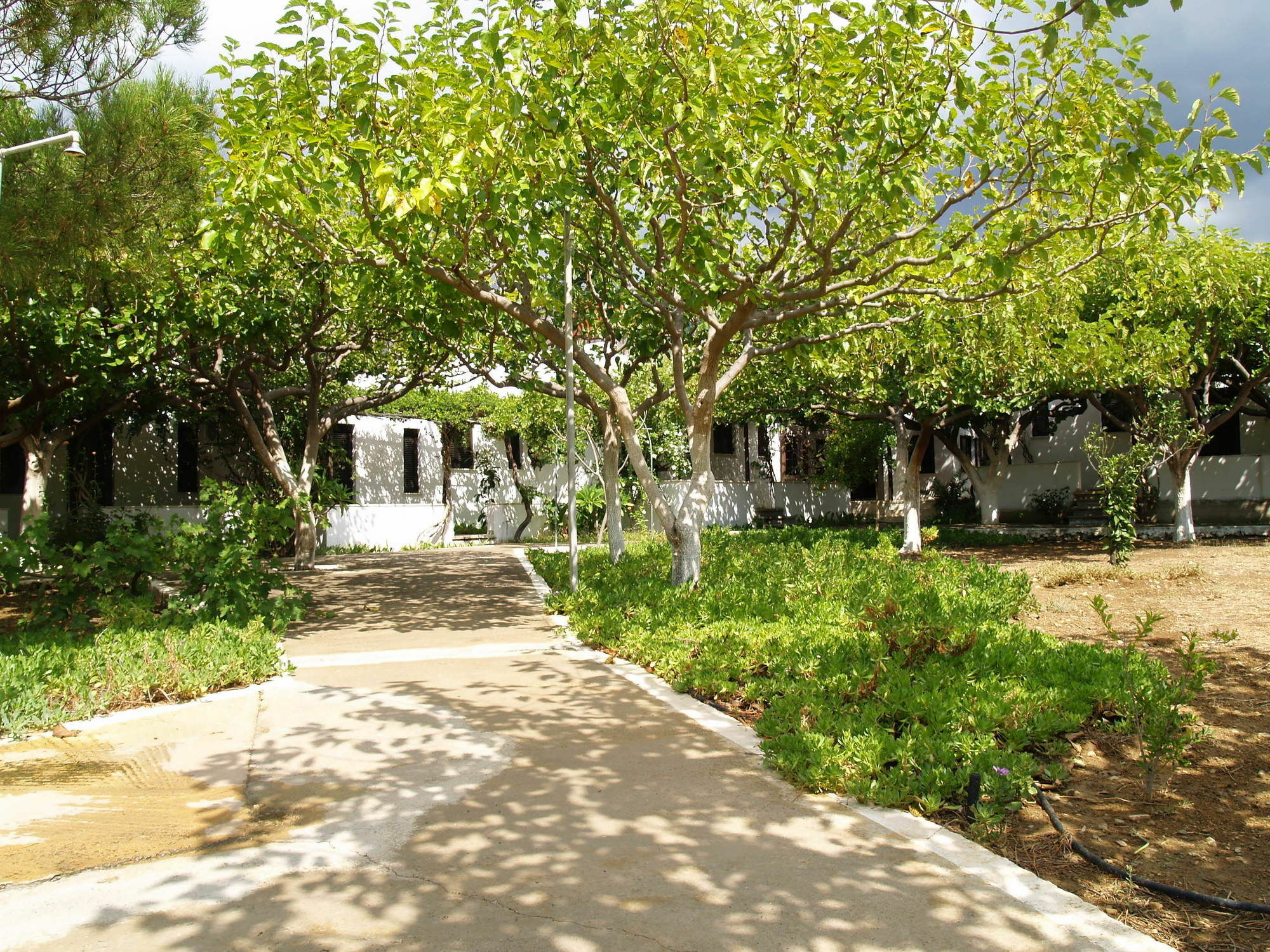 Dolphin Apartments Frangokastello Exterior foto